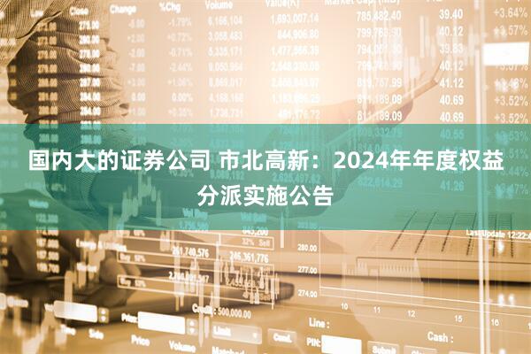 国内大的证券公司 市北高新：2024年年度权益分派实施公告